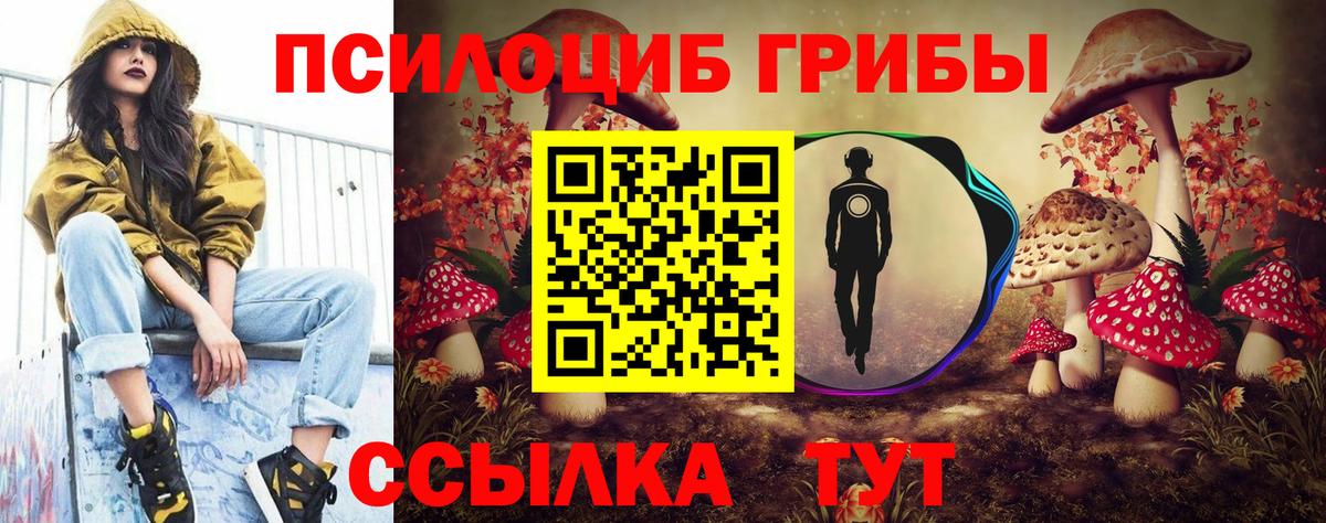 Галлюциногенные грибы Psilocybine cubensis  Псилоцибиновые грибы ЛСД  Вход с VPN  Реутов 