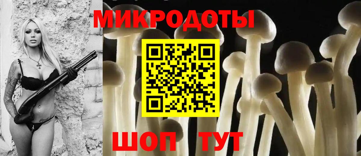 Галлюциногенные грибы Psilocybe Реутов